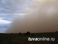 В Туве 8 мая ожидается усиление ветра и пыльная буря. МЧС предупреждает: в такую погоду разжигать костры особенно опасно