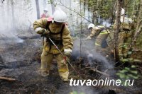 В Туве действуют два лесных пожара площадью 212 га