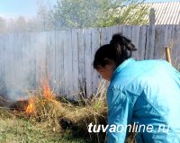 В прошедшие выходные в Туве оштрафованы 4 человека за сжигание сухой растительности на территории домовладений 