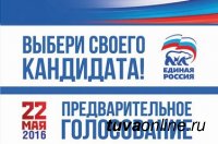 22 мая для проведения предварительного голосования в Кызыле с 8 до 20 часов будут работать 10 избирательных участков