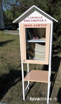 В Кызыле появилась первая уличная библиотека «Ном дептер»