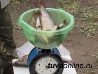В День рыбака Аржаан Ондар выловил хариуса больше 1 кг весом