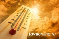 В Туве сохраняется сильная жара. Температура воздуха +35 и выше