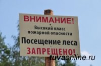 В Туве продлили запрет на пребывание в лесу для 10 районов