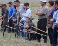 В Туве бригады косарей будут соревноваться в заготовке сена «под ключ». Жюри оценит технологию заготовки и калорийность кормов