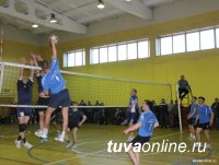  В Кызыле пройдет открытый турнир по волейболу среди трудовых коллективов г.Кызыла 