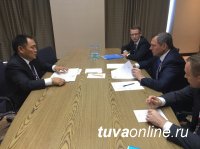 Глава Тувы на встрече с гендиректором «Россетей» согласовал вопрос реконструкции крупной подстанции и электроснабжения частных домов
