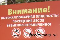 В Туве в рамках противопожарных мер до 9 октября введено ограничение посещения лесов