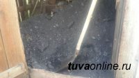 В Туве сельским семьям с пятью и более детьми начали выдавать бесплатный уголь