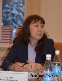 Депутаты приняли бюджет города Кызыла на 2017 год