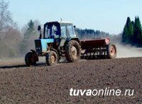 В Туве началась подготовка к весенне-полевым работам