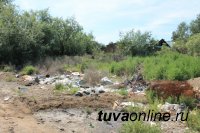 Проект ОНФ «Генеральная уборка» принес первые положительные результаты в Туве