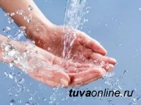 В Туве стартует масштабный месячник «чистые руки»