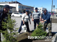 В Туве в рамках месячника планируют посадить более 2 тысяч саженцев деревьев
