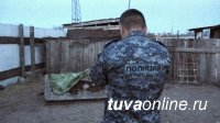 В Кызыле сотрудники полиции с поличным задержали скотокрадов