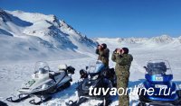 В Республике Алтай пройдет первая международная встреча экспертов по сохранению снежного барса в России