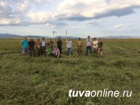 Сотрудники Минприроды помогли подшефным "кыштаговцам" в заготовке кормов