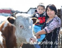 Тува: "Корова-кормилица" помогает 619 семьям