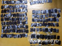 Сотрудники Госавтоинспекции Тувы пресекли факт незаконной перевозки 119 фрагментов гашиша