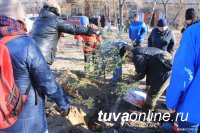 Общественная комиссия Кызыла по проекту "Городская среда" сегодня определит дворы для благоустройства в 2018 году