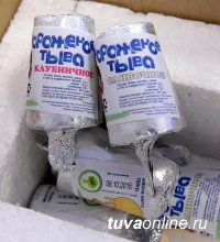 Жители Хакасии и Тувы в среднем съедают по 1,3 кг мороженого в год