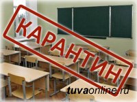 Роспотребнадзор рекомендовал 14 муниципалитетам Тувы, включая Кызыл, ввести ограничительные меры по гриппу