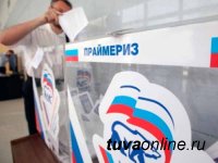 «Единая Россия» на предварительном голосовании задействует систему электронного дистанционного голосования