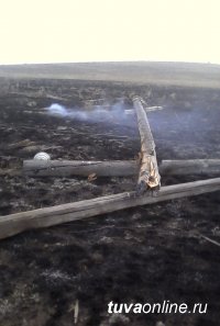 На территории Тандинского кожууна Тувы ликвидирован один лесной пожар