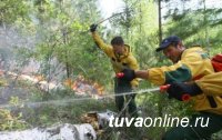 В Туве действует 1 лесной пожар на площади 2 га
