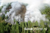 На землях лесного фонда Республики Тыва действует 1 лесной пожар