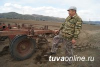 В Туве начинаются массовые весенне-полевые работы