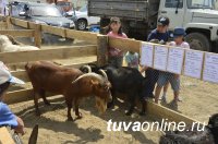Местечко Тос-Булак традиционно стало центром праздника животноводов "Наадым-2018"