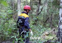 Полиция Тувы призывает грибников соблюдать меры безопасности