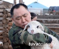 В овцеводстве и козоводстве Тувы будут субсидировать создание обособленных групп животных-производителей