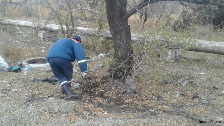 Электроэнергия кызыл