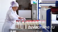 В Туве создается Фонд развития фермерского бизнеса и сельскохозяйственных кооперативов