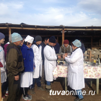 Тува: Студенты Сельхозтехникума проходят практику в фермерских хозяйствах