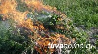 План по уничтожению дикорастущей конопли на территории Тувы выполнен на 95 %