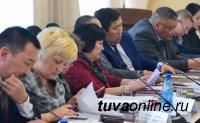Глава Тувы поручил членам правительства формировать заявки для участия в национальных проектах