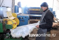 Проект "Дук": Минсельхоз Тувы до 1 марта принимает бизнес-проекты по созданию мини-цехов по выделке шкур и обработке шерсти
