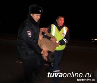 В Туве в 2018 году с пьяных водителей взыскано штрафов на более 32 млн. рублей