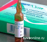 В Туве проводится проверка по факту ошибочной прививки вакциной БЦЖ