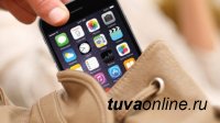 Кызыл: Краденный Iphone за 50 тысяч преступник продал в ремонтную мастерскую за 2 тысячи