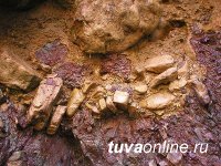 Геология Тувы: от прошлого к будущему