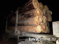 В Тандинском районе инспекторы ДПС выявили незаконную рубку деловой древесины
