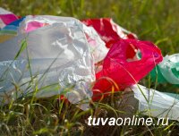В России предлагается ввести запрет на пластик с 2025 года