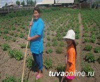 Власти Тувы помогут малообеспеченным семьям региона в занятиях огородничеством