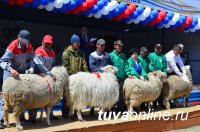 Хозяйства Тувы участвуют в 16-й Сибирско-Дальневосточной выставке племенных животных в Улан-Удэ