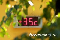 В Туве 10 июля ожидается сильная жара до +35