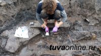 «Долина царей»: как идут раскопки в древнейшем некрополе в Туве